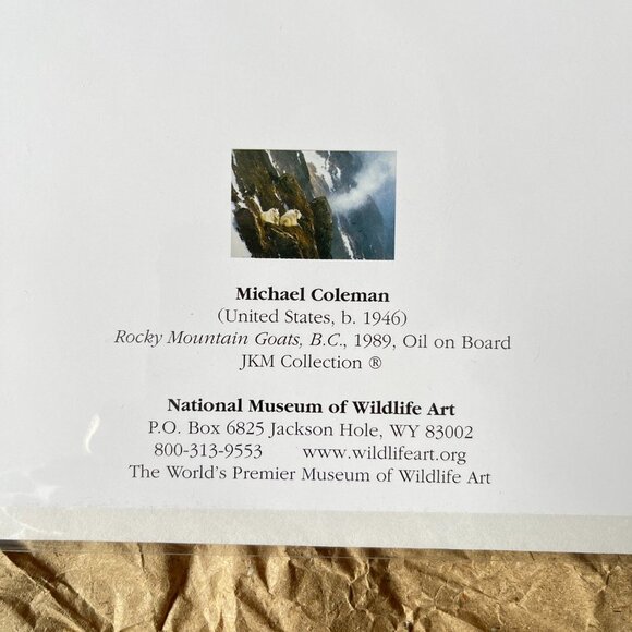 4ct Assortment of Colorado Cards and Envelopes - Picture 11 of 16